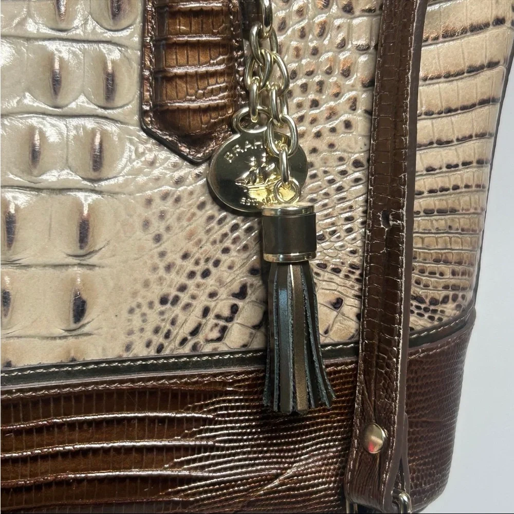 Brahmin Mini Asher Riesling Tri-Color Leather Tote - Picture 5 of 12